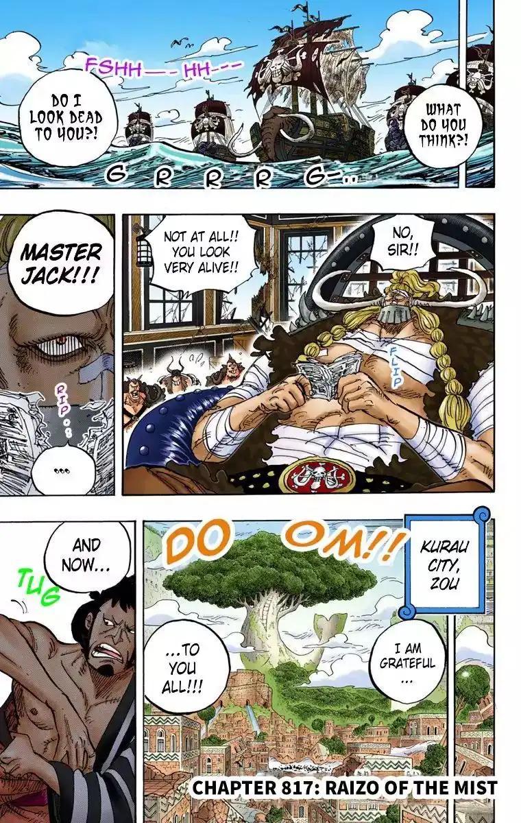 One Piece - Digital Colored Comics Chapter 817 10